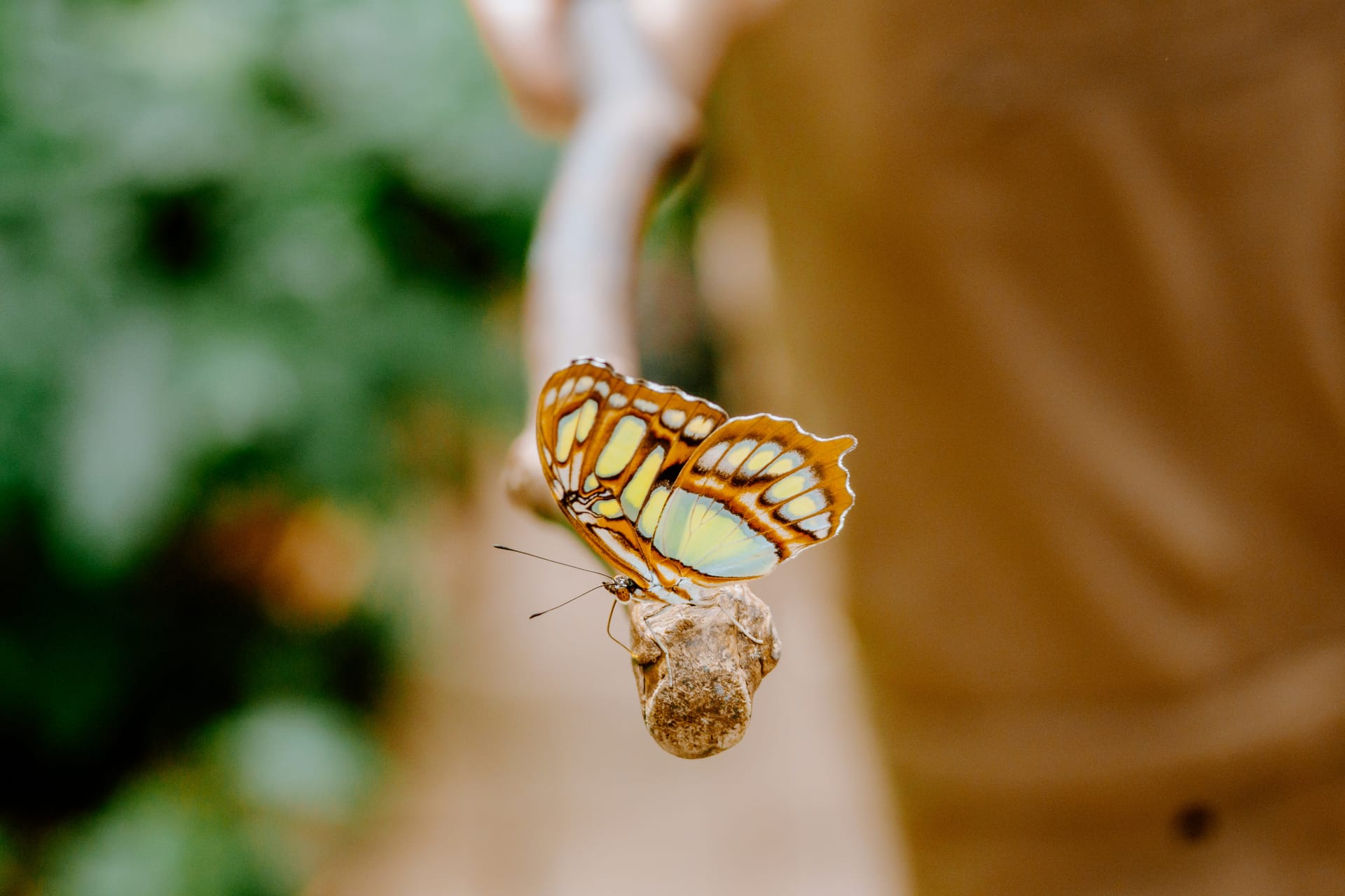 We Will Rest!: The Art of Escape