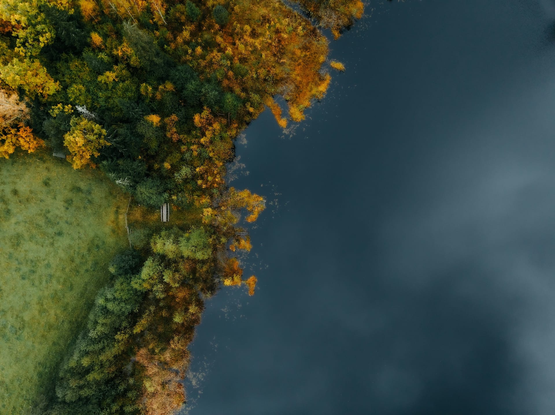 Beyond Anxiety: Curiosity, Creativity, and Finding Your Life's Purpose